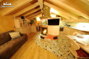 Chalet Lucky Exlusive Chalet with fireplace